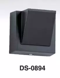 DS－0894